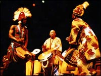 The Master Drummers Of Africa