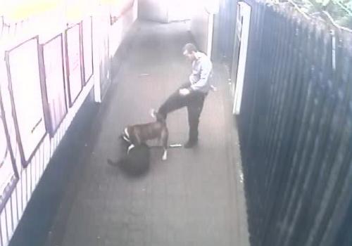 CCTV from Cricklewood station