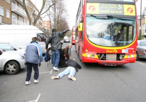 Dog runs under bus