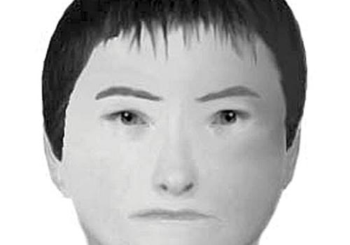 Police e-fit image of the bogus official