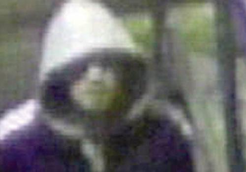 The CCTV image of the suspect