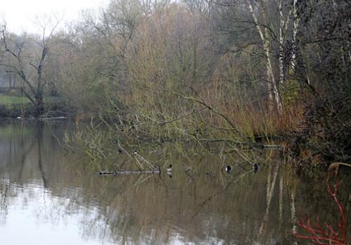 Pond on the Heath could be lost in redevelopment