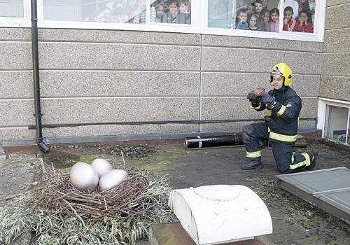 Pupils quiz firefighters after discovering giant eggs on their school roof