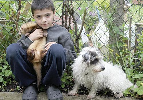 Nine-year-old Michael Barnes with dog Lucky and Wally