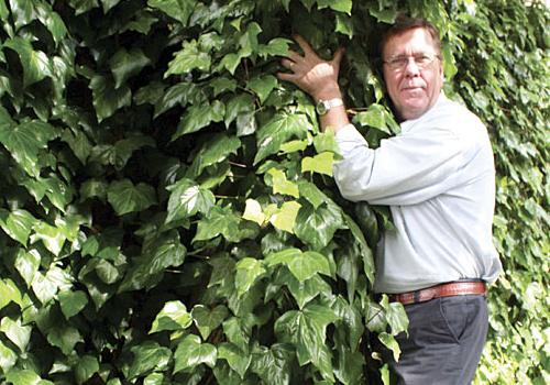 Councillor Chris Knight and the ash tree that mean a reprieve for the pub