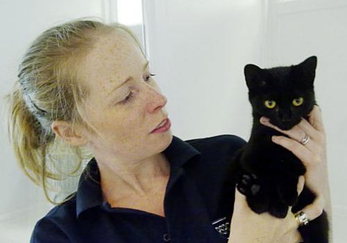 The RSPCA’s Jenny Eden with one of the kittens found in Chalk Farm