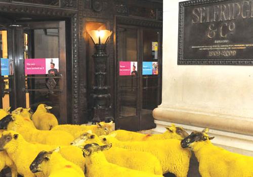 The colourful sheep outside Selfridges