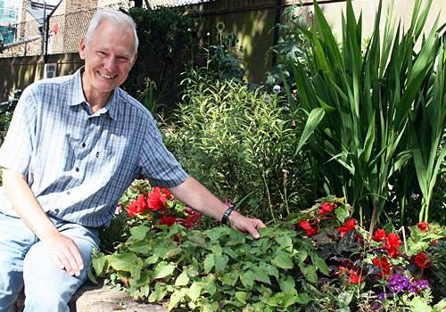 Robert Livock at the Raglan Street garden