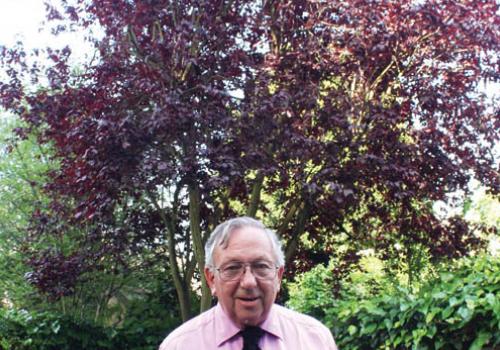 Retired businessman Imre Lake in his garden and the purple plum next door