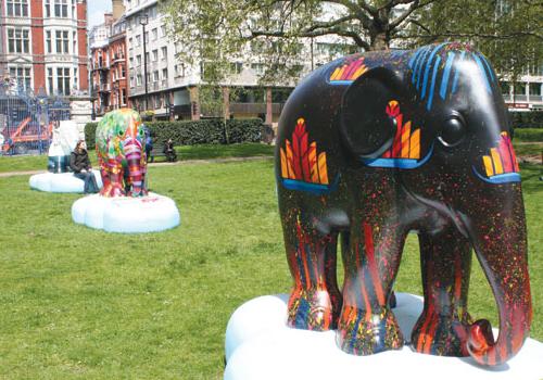 part of the herd in Green Park