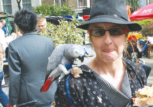 Gracie the parrot at the Soho Festival