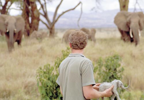 Hamish Mackie meeting elephants in Africa