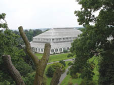 Walkers enjoy a unique view of Kew Gardens